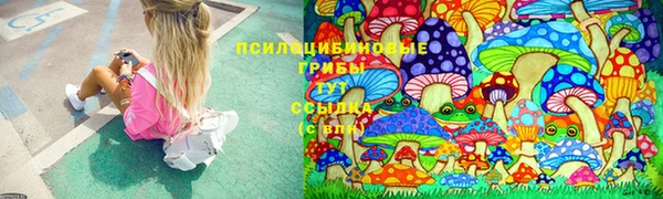 ALPHA PVP Богданович