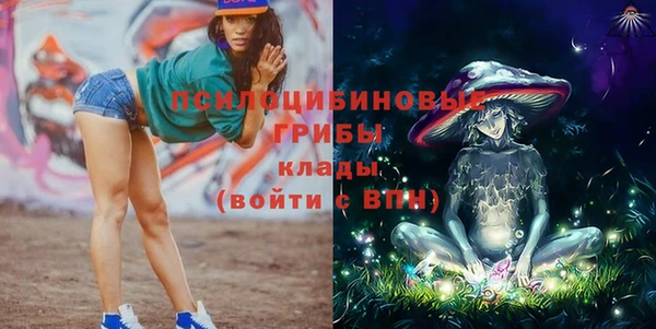 ALPHA PVP Богданович