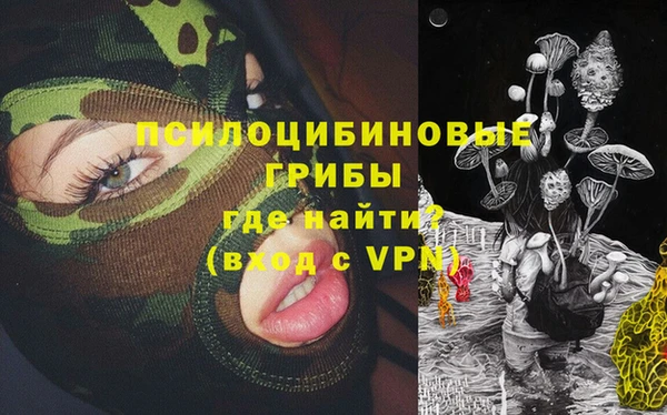 таблы Богородицк