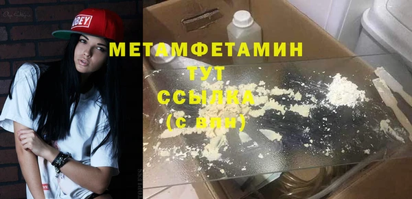 крисы Корсаков