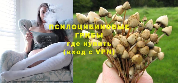 таблы Богородицк